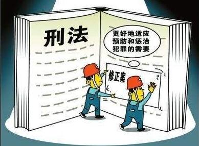 中华人民共和国刑法修正案(二)释义