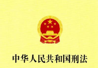 中华人民共和国刑法修正案（二）释义