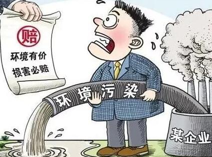 2021年环境侵权责任纠纷司法解释全文